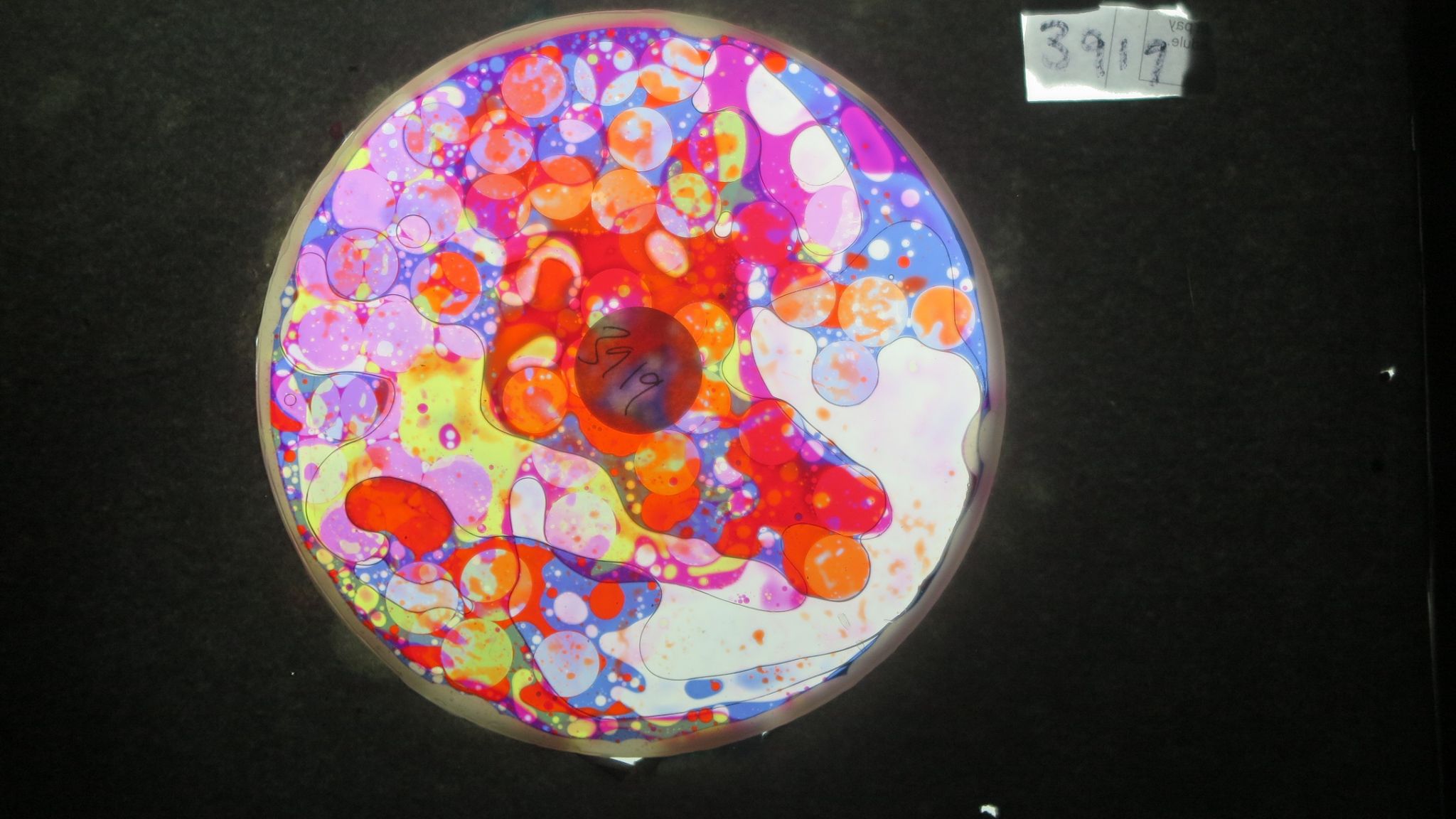 BV3919 bubble vision oil wheel